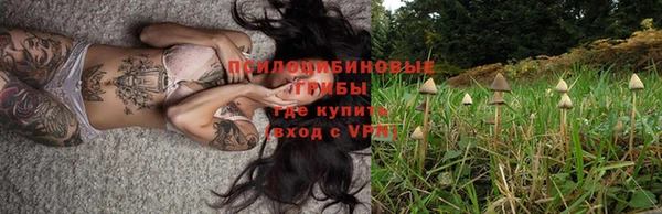 a pvp Струнино