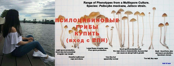 МДМА Сосновоборск