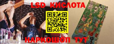 Альфа ПВП Волгодонск