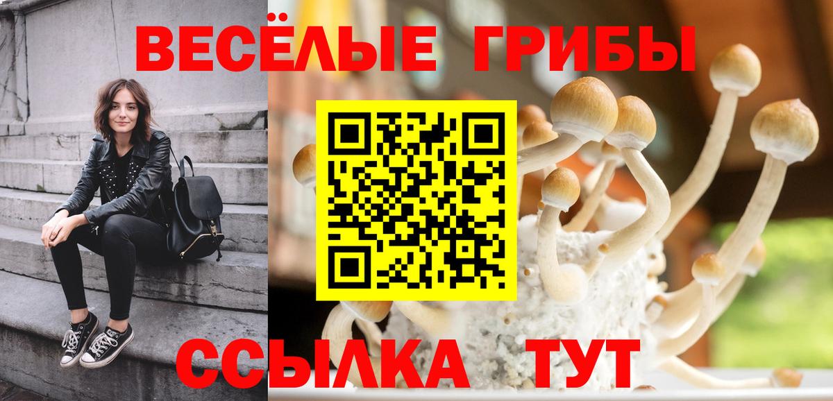 магазин продажи наркотиков  Псилоцибиновые грибы MAGIC MUSHROOMS  Вход с VPN  Псилоцибиновые грибы мухоморы  Сыктывкар 